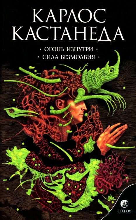 Огонь изнутри. Сила безмолвия. Книга 4