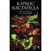 Огонь изнутри. Сила безмолвия. Книга 4