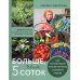 Больше, чем 5 соток. Как на маленьком участке получить максимум урожая