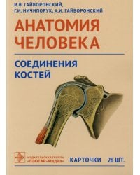 Анатомия человека. Соединения костей. Карточки. Наглядное учебное пособие