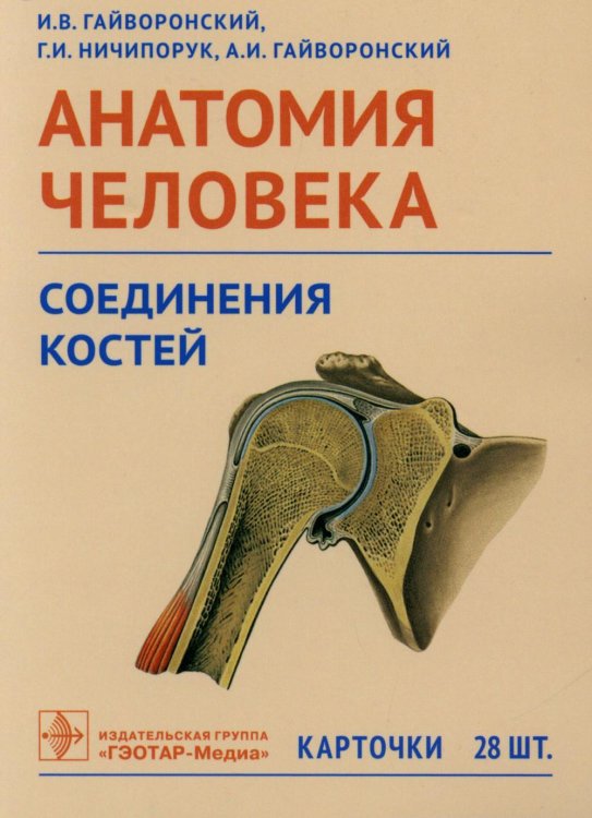 Анатомия человека. Соединения костей. Карточки. Наглядное учебное пособие