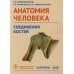 Анатомия человека. Соединения костей. Карточки. Наглядное учебное пособие