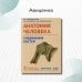 Анатомия человека. Соединения костей. Карточки. Наглядное учебное пособие