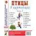 Птицы в картинках. Выпуск 3. Наглядное пособие для педагогов, логопедов, воспитателей и родителей