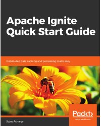 Apache Ignite Quick Start Guide