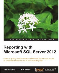 Reporting with Microsoft SQL Server 2012