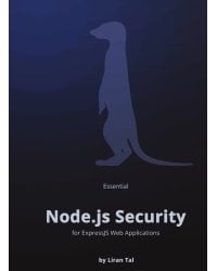 Essential Node.js Security