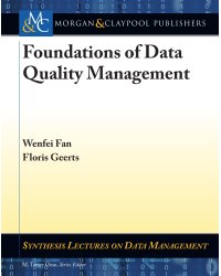 Foundations of Data Quality Management