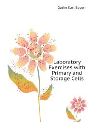 Laboratory Exercises with Primary and Storage Cells