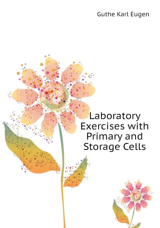 Laboratory Exercises with Primary and Storage Cells