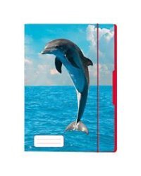 Папка A4 картонная с резинкой - Дельфин