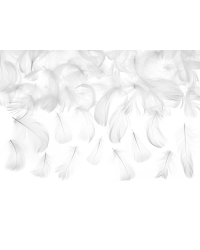 Decorative feathers, white, 3g