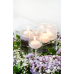 Floating candle disc, matt, white, 4cm (1 pkt / 50 pc.)