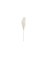 Pampas grass artificial, light cream, 15x110cm