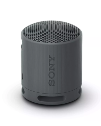 Sony SRS-XB100 Портативная Kолонка