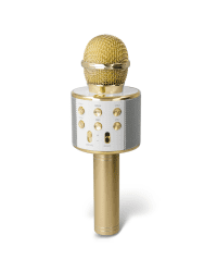 Forever BMS-300 Bluetooth Микрофон с Динамиком