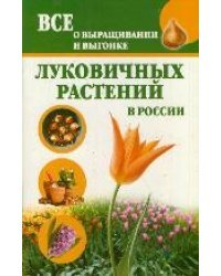 Все о выращивании и выгонке луковичных растений в России