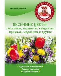 Весенние цветы: тюльпаны, нарциссы, гиацинты, примула, морозник и другие