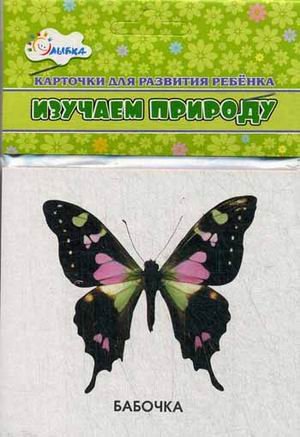 Изучаем природу. Карточки для развития ребенка