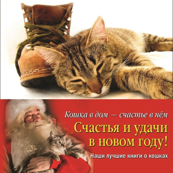 Кошка в дом - счастье в нем. Новогодний комплект из 4-х книг (количество томов: 4)