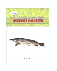 Рыбы России (набор из 12 карточек)