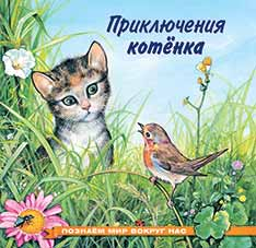 Приключения котенка