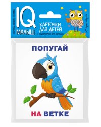 Кто где находится? Комплект односторонних карточек