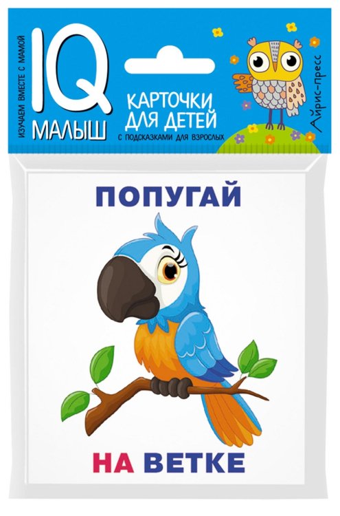 Кто где находится? Комплект односторонних карточек