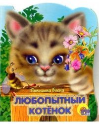 Любопытный котенок