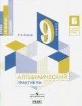 Алгебраический практикум. 9 класс