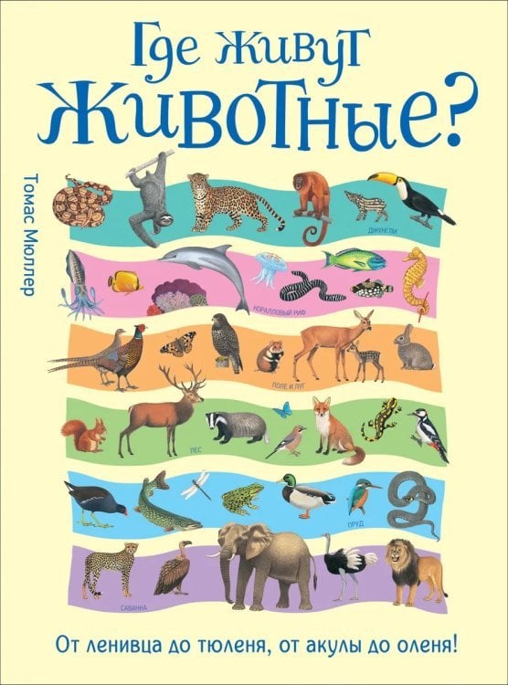 Где живут животные? От ленивца до тюленя, от акулы до оленя!