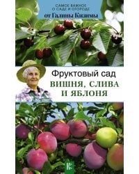 Фруктовый сад. Вишня, слива и яблоня