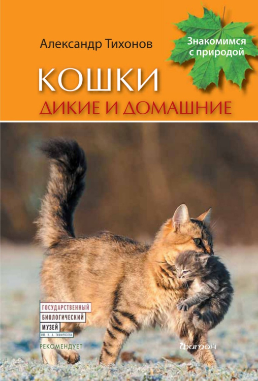 Кошки дикие и домашние