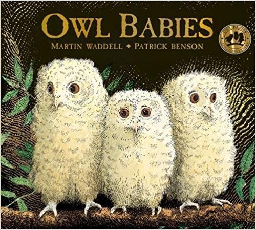 Owl Babies. Board book