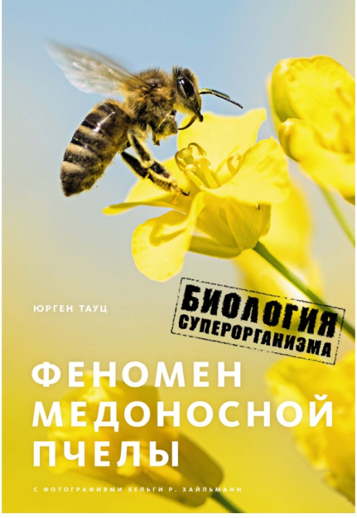 Феномен медоносной пчелы. Биология суперорганизма
