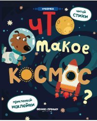 Что такое космос? Книжка с наклейками