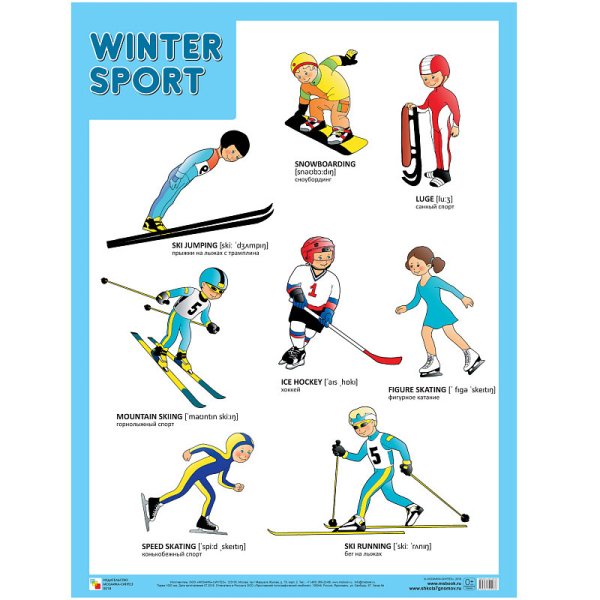 Плакаты &quot;Winter Sport&quot;