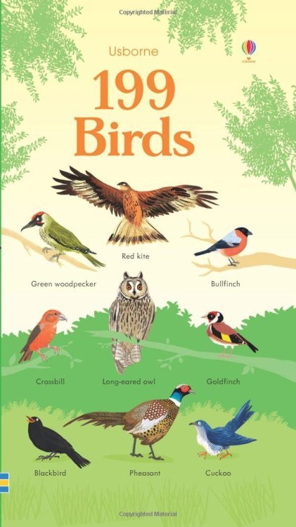 199 Birds (board book)