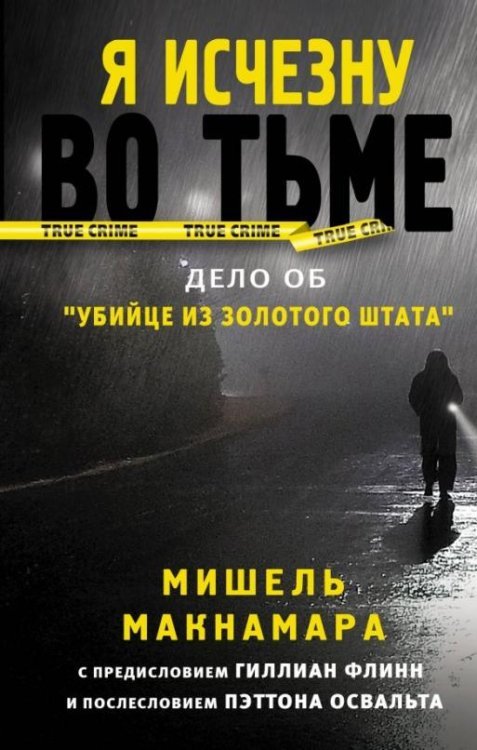 Я исчезну во тьме 