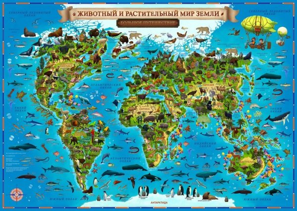 Карта мира для детей &quot;Животный и растительный мир&quot;, 60х40 см