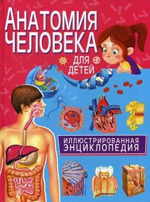 Анатомия человека для детей. Иллюстрированная энциклопедия