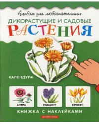 Дикорастущие и садовые растения. Книжка с наклейками