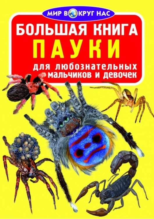 Большая книга. Пауки. Для любознательных мальчиков и девочек