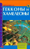 Гекконы и хамелеоны. Содержание. Разведение. Кормление