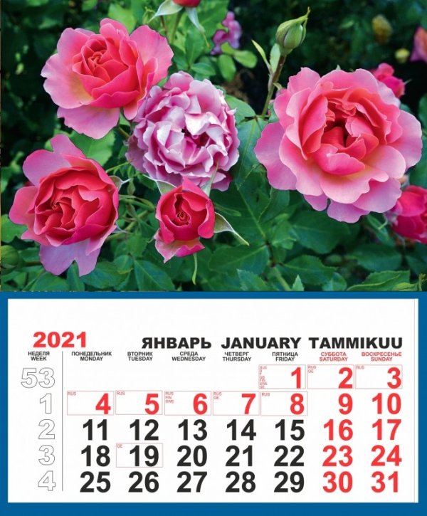 Календарь на 2021 год &quot;Цветы&quot; (КР32-21012)
