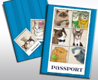 Обложка для паспорта &quot;Кошечки&quot;