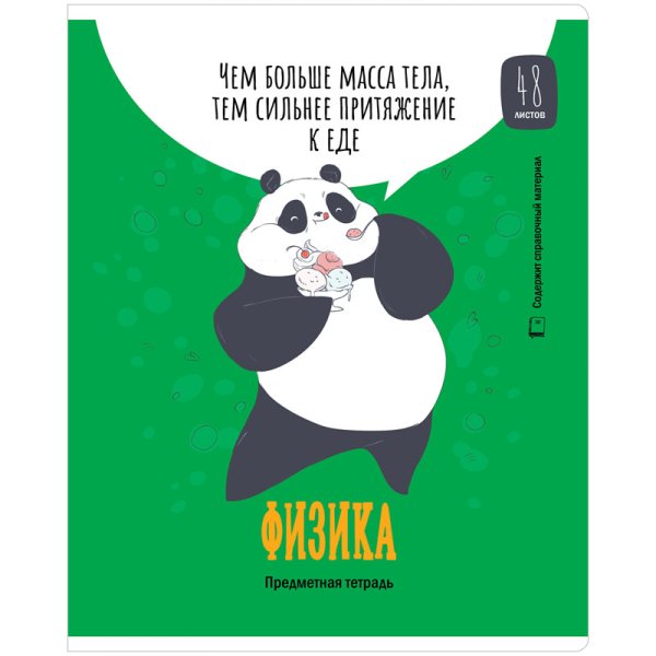 Тетрадь &quot;Clever Panda. Физика&quot;, А5, 48 листов, клетка