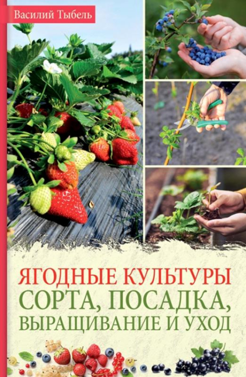 Ягодные культуры. Сорта, посадка, выращивание и уход