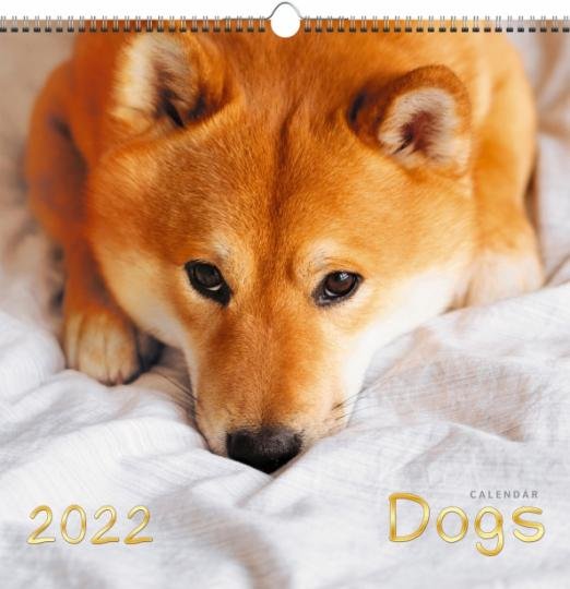 Пес Новый Сезон 2022 Год Пес Новый Сезон 2022 Год