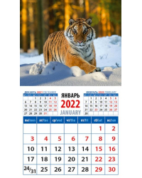 Календарь 2022 "Год тигра. В зимнем лесу" (20226)
